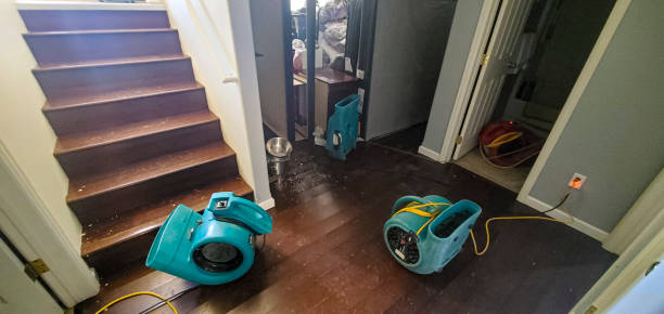 Best Professional water damage repair  in Coquille, OR