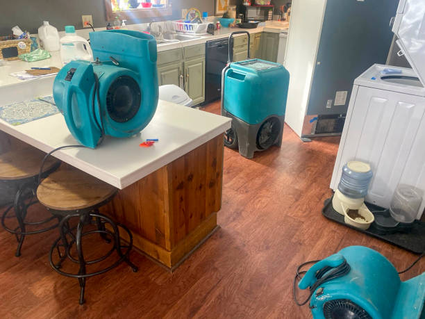Best Local water damage restoration  in Coquille, OR