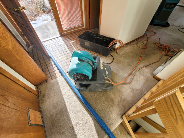 24/7 water damage repair in OR