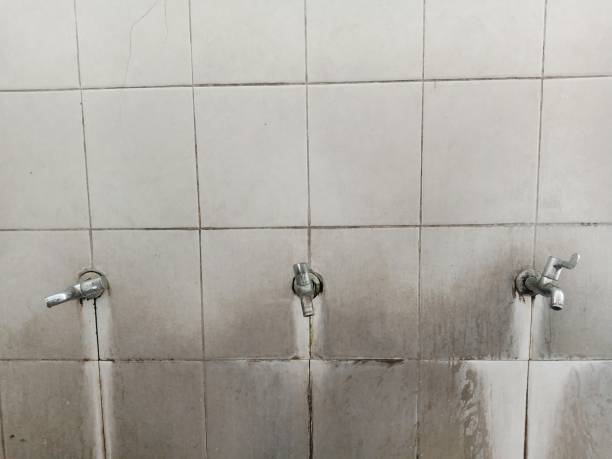Best Commercial water damage restoration  in Coquille, OR