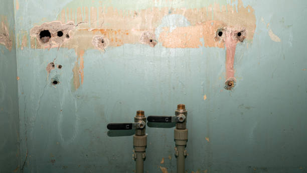 Best Mold removal after water damage  in Coquille, OR