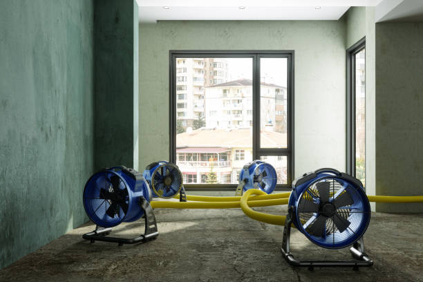 Best Carpet water damage restoration  in Coquille, OR